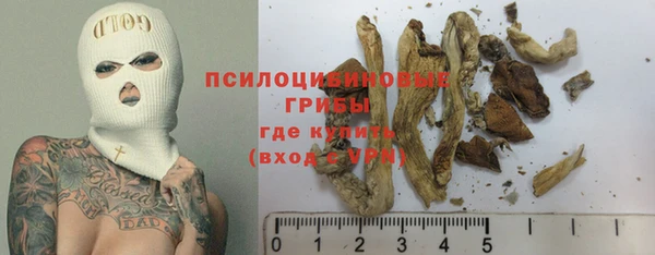 бошки Кодинск