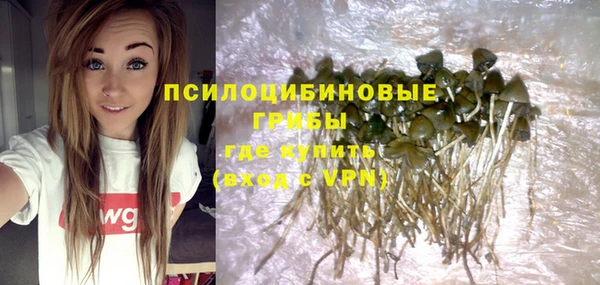 марихуана Ессентукская
