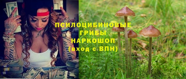spice Козельск