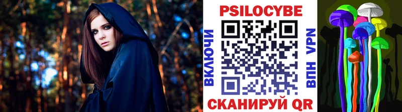 Псилоцибиновые грибы Cubensis Куртамыш